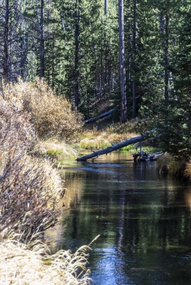 Yellowstone National Park Sept 2024